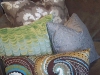 Sectional Pillows